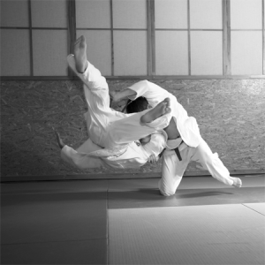 judo